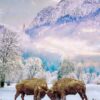 bisons-bisons-80pc.jpg Bison Fighting in Snow | Digital Art Metal Print