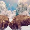 bisons-bisons-close-up.jpg Bison Fighting in Snow | Digital Art Metal Print