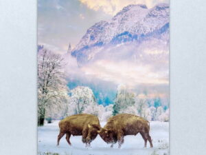 work-59538674-metal-print-2.jpg Bison Fighting in Snow | Digital Art Metal Print