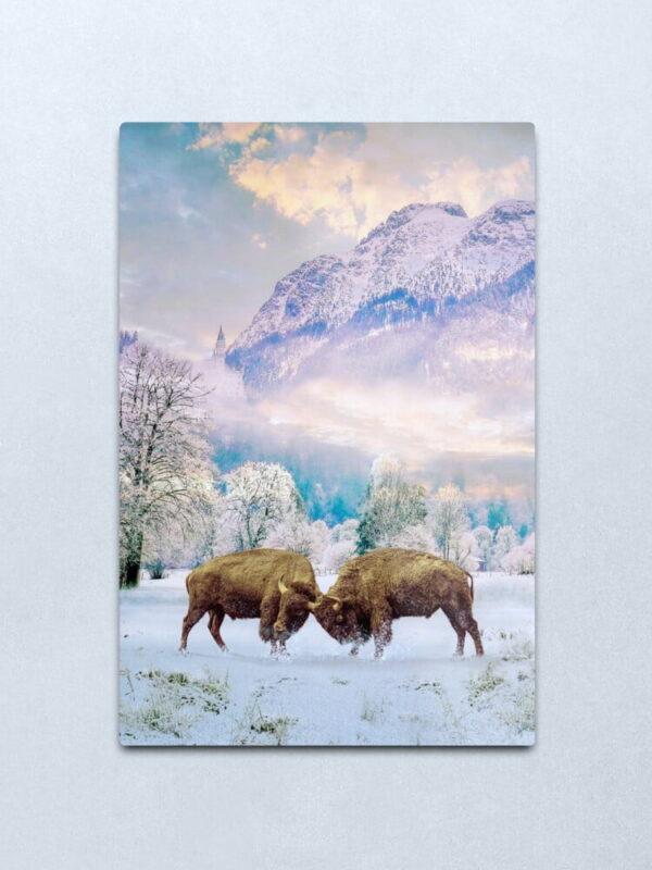 work-59538674-metal-print-2.jpg Bison Fighting in Snow | Digital Art Metal Print